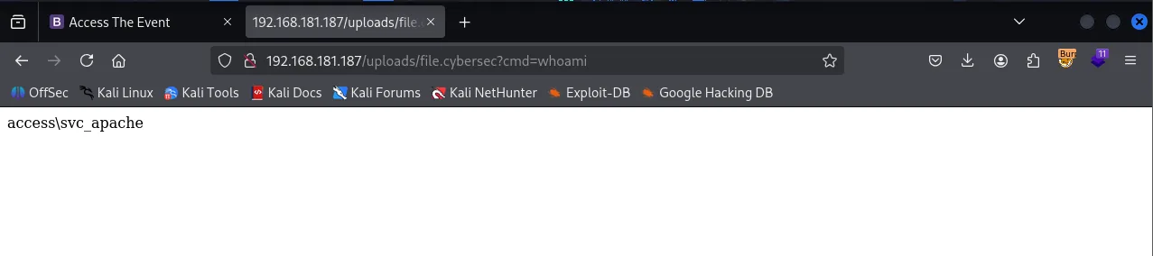 Access walkthrough, Got command execution, screenshot 4