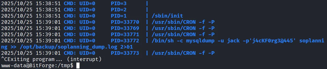 BitForge walkthrough, Got reverse shell as root, screenshot 15