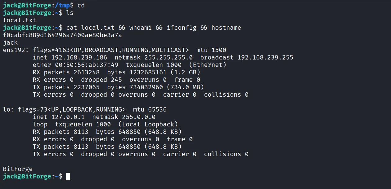 BitForge walkthrough, Got reverse shell as root, screenshot 16