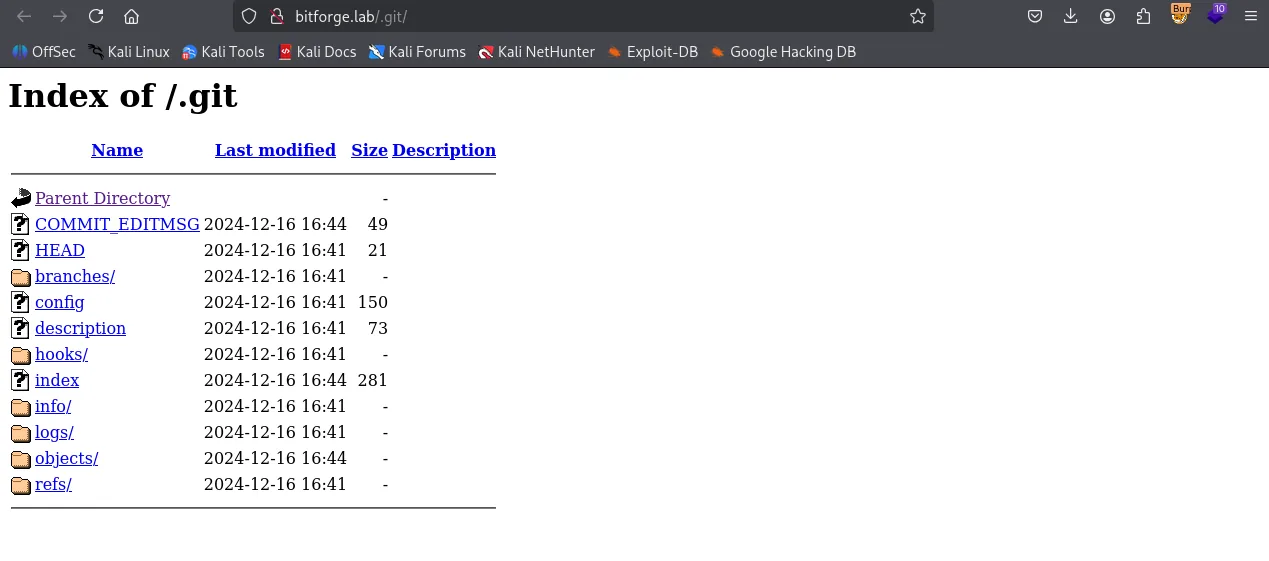 BitForge walkthrough, Got reverse shell as root, screenshot 3