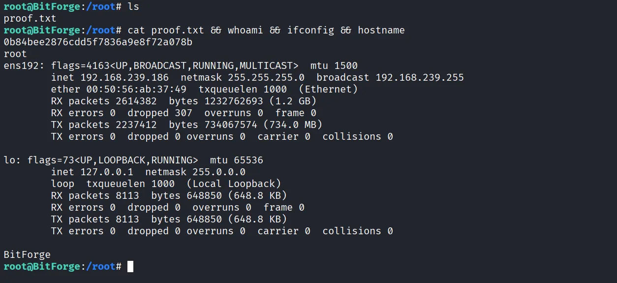 BitForge walkthrough, Got reverse shell as root, screenshot 22
