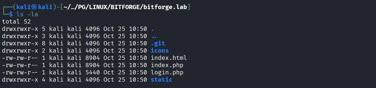 BitForge walkthrough, Got reverse shell as root, screenshot 4