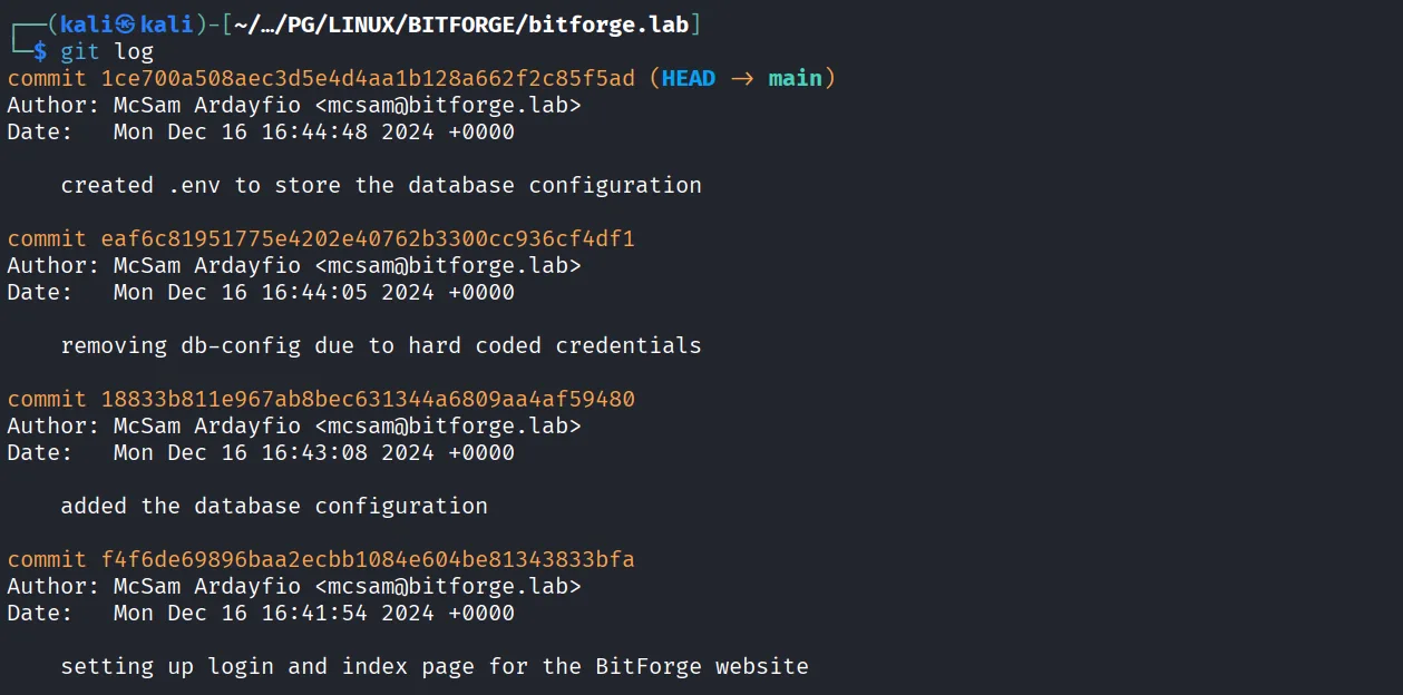 BitForge walkthrough, Got reverse shell as root, screenshot 5