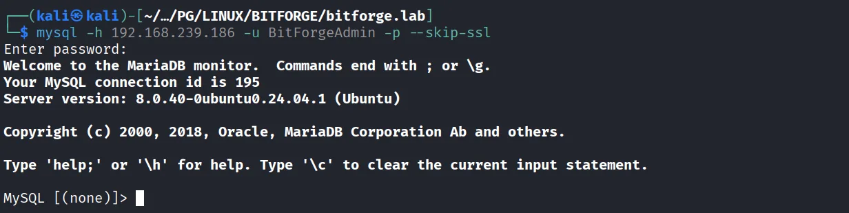 BitForge walkthrough, Got reverse shell as root, screenshot 7