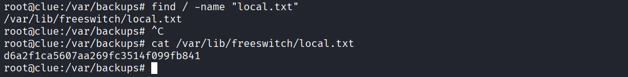 CLUE walkthrough, Got command execution, screenshot 11