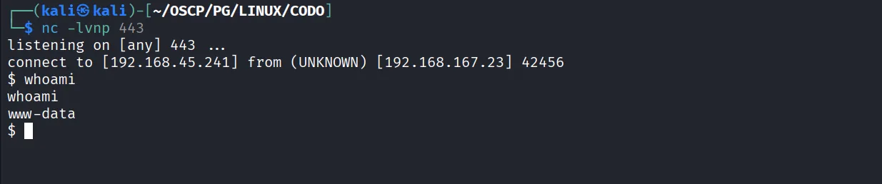 Codo walkthrough, Got reverse shell using the shell.php, screenshot 12