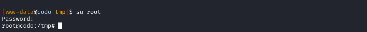 Codo walkthrough, Got reverse shell using the shell.php, screenshot 14