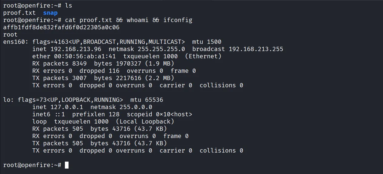 Fired walkthrough, Got root, screenshot 14
