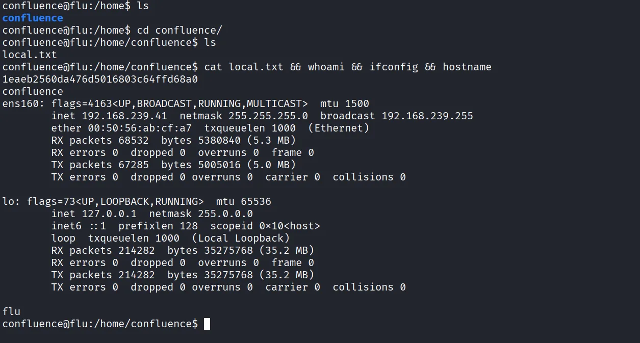 Flu walkthrough, Got root, screenshot 4