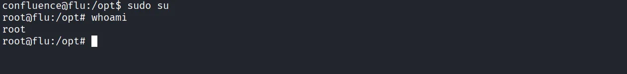 Flu walkthrough, Got root, screenshot 9