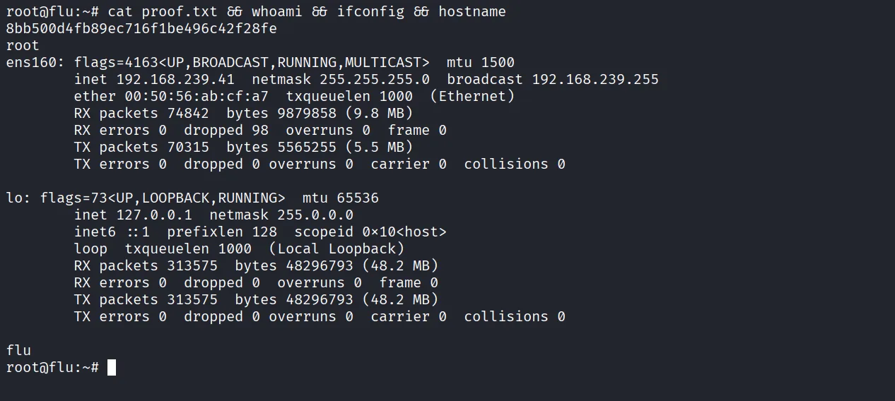 Flu walkthrough, Got root, screenshot 10
