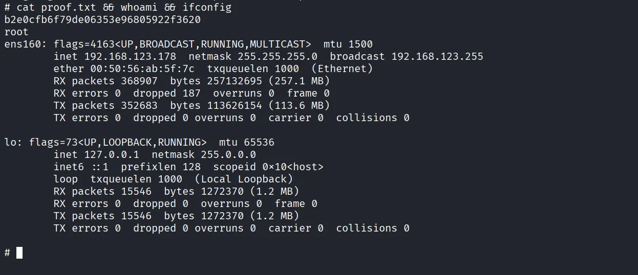 Image walkthrough, Got root, screenshot 8