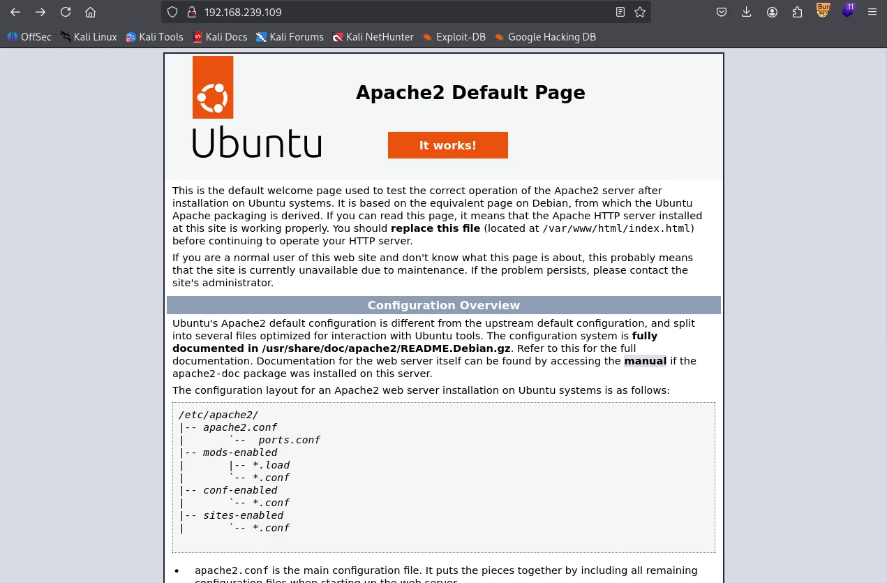Jordak walkthrough, Got reverse shell using busybox nc, screenshot 1