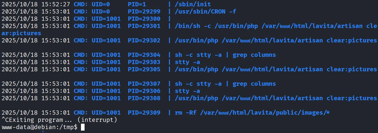 Lavita walkthrough, Got reverse shell as skunk user, screenshot 13