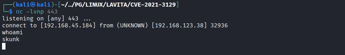 Lavita walkthrough, Got reverse shell as skunk user, screenshot 16