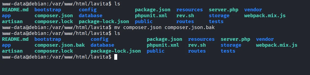 Lavita walkthrough, Got reverse shell as skunk user, screenshot 19