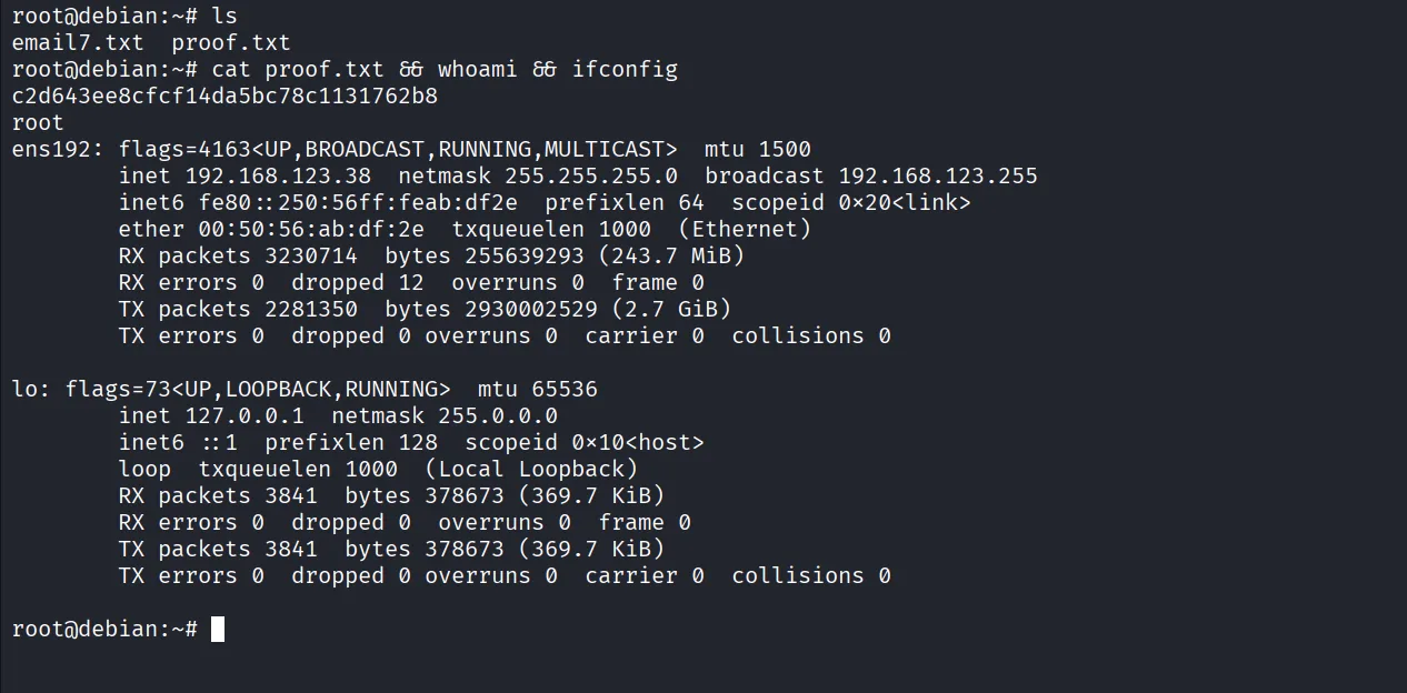 Lavita walkthrough, Got reverse shell as skunk user, screenshot 22