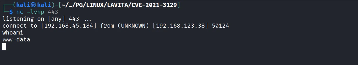 Lavita walkthrough, Got reverse shell as skunk user, screenshot 9
