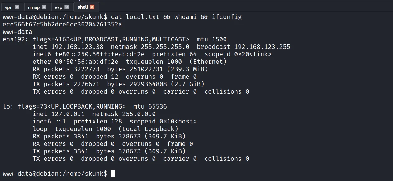 Lavita walkthrough, Got reverse shell as skunk user, screenshot 10