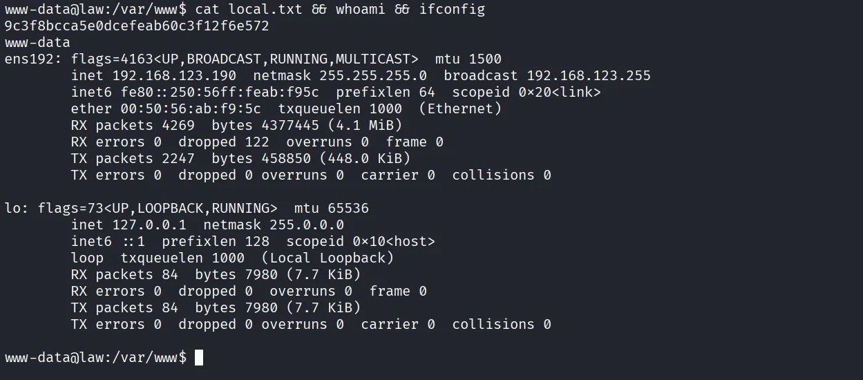 Law walkthrough, Got root, screenshot 11