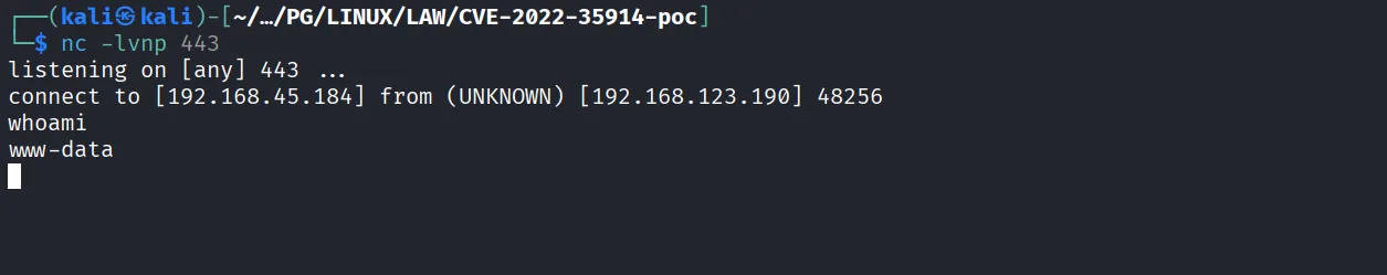 Law walkthrough, Got root, screenshot 8