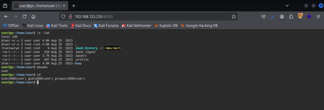 PC walkthrough, Got shell as root, screenshot 1