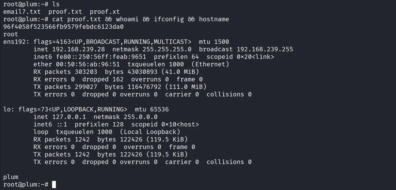 Plum walkthrough, Got the reverse shell, screenshot 12