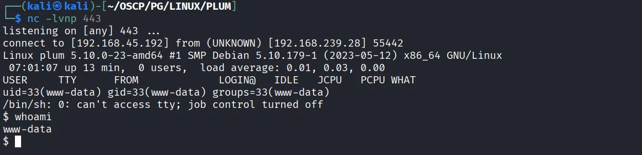 Plum walkthrough, Got the reverse shell, screenshot 7