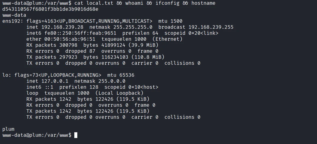 Plum walkthrough, Got the reverse shell, screenshot 8