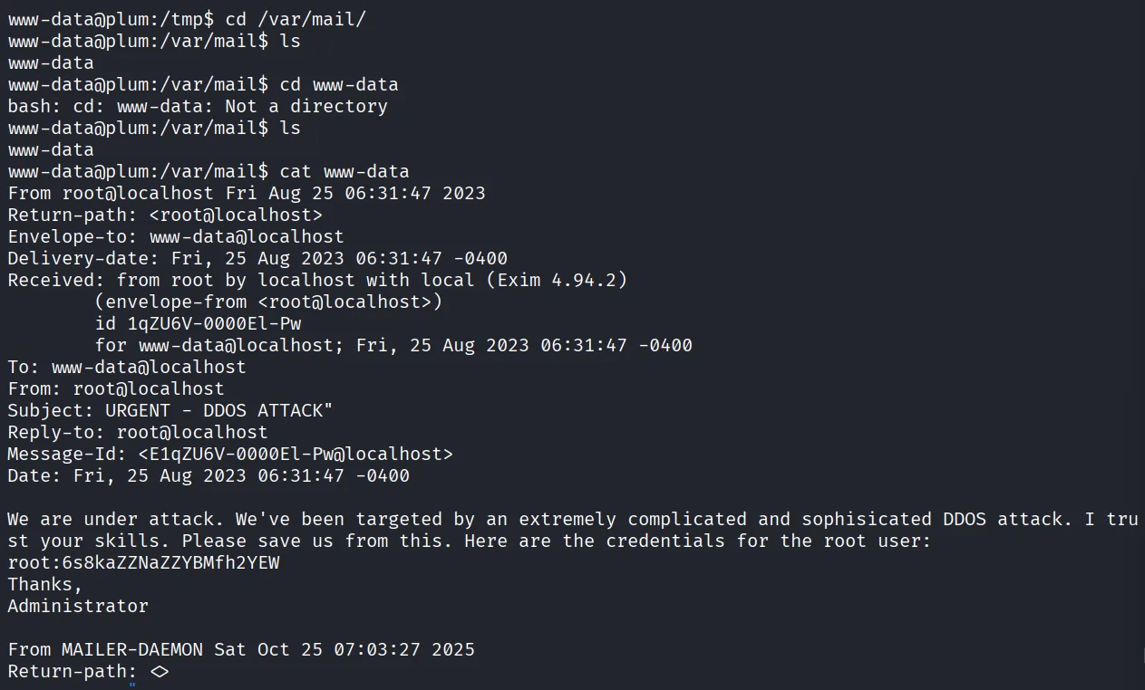 Plum walkthrough, Got the reverse shell, screenshot 10