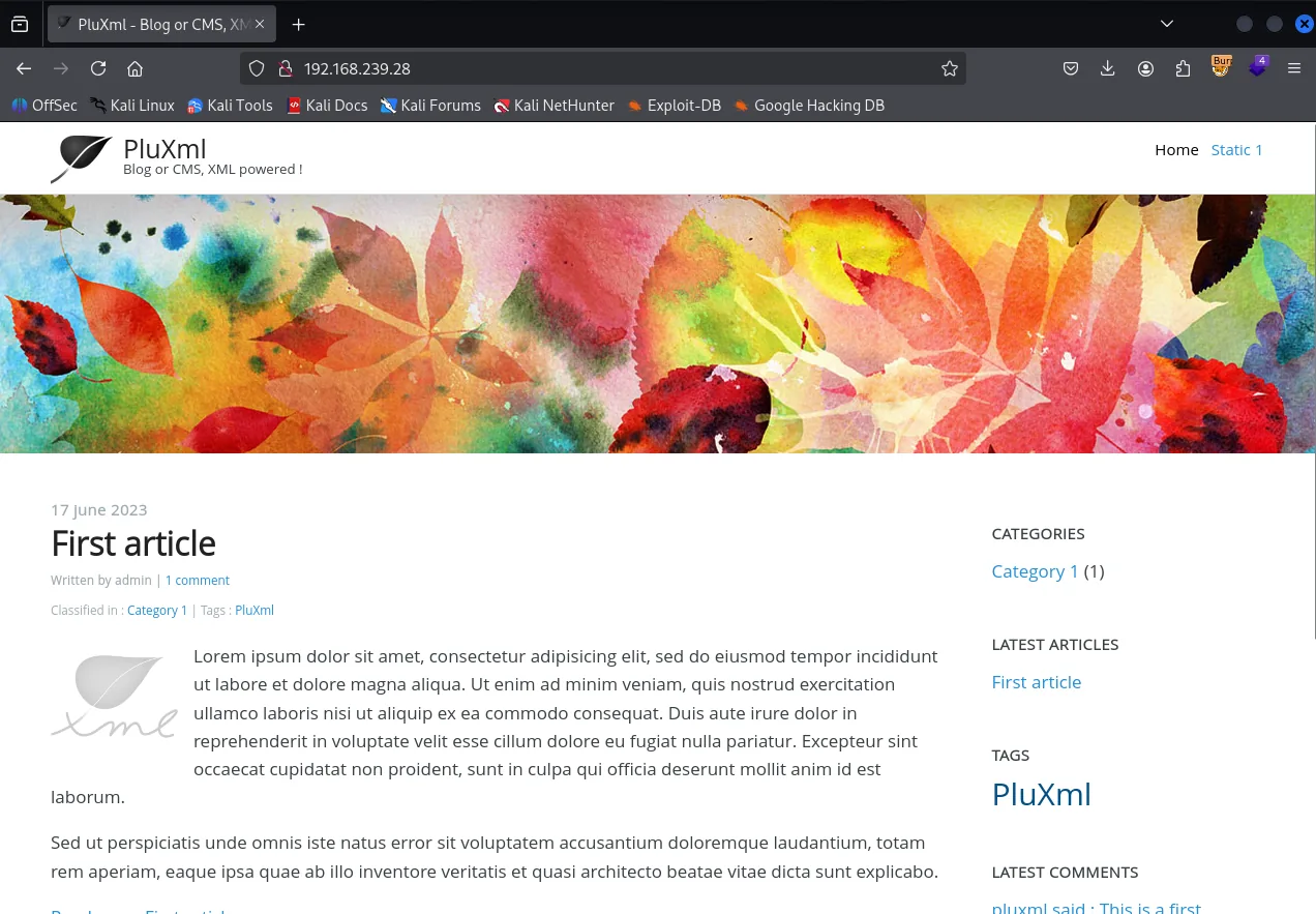 Plum walkthrough, Got the reverse shell, screenshot 1
