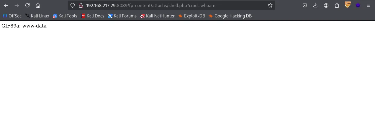 Press walkthrough, Got root, screenshot 5