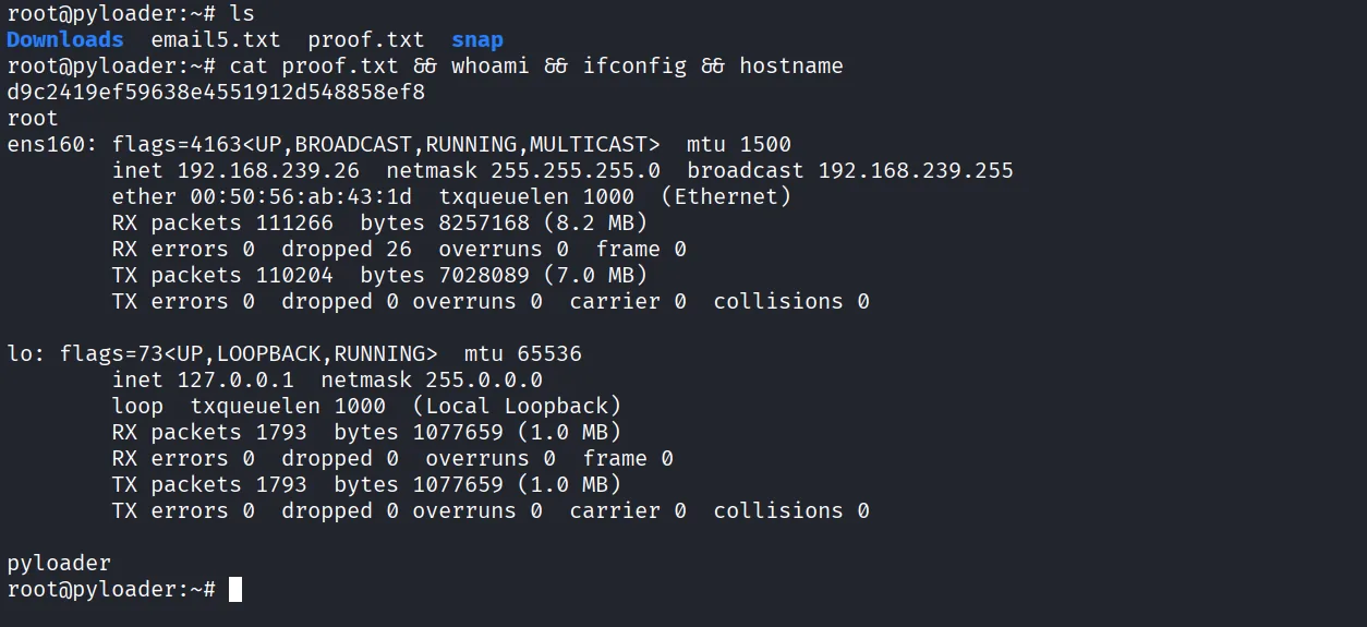 PyLoader walkthrough, Got reverse shell as root, screenshot 4
